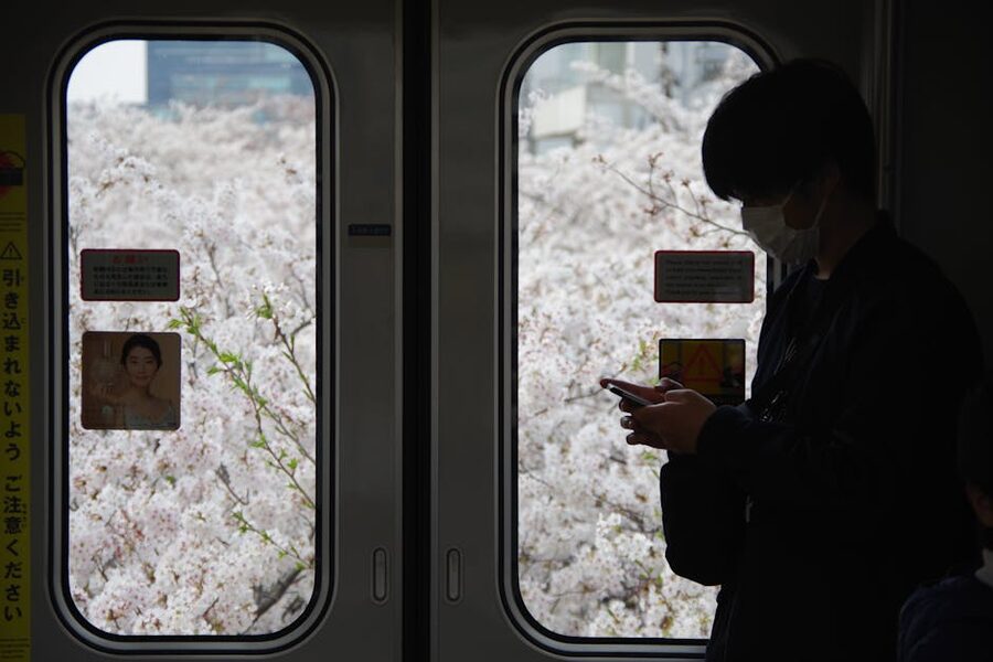 JR East train through cherry blossoms in Tokyo