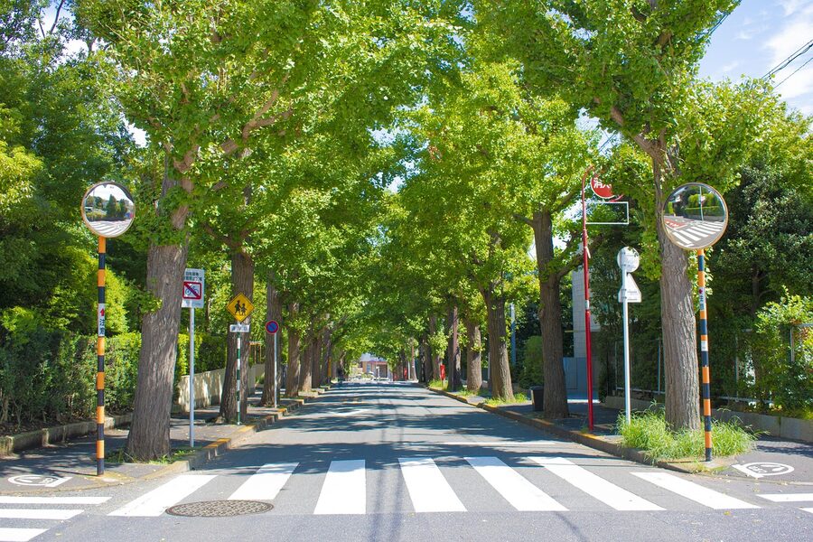 Tree-lined residential road in Den-en-chofu, Tokyo, the original 1923 garden-suburb Tokyu was built to serve