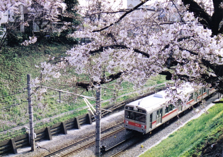 Tokyu Ikegami Line train on the elevated section through Hatonosu