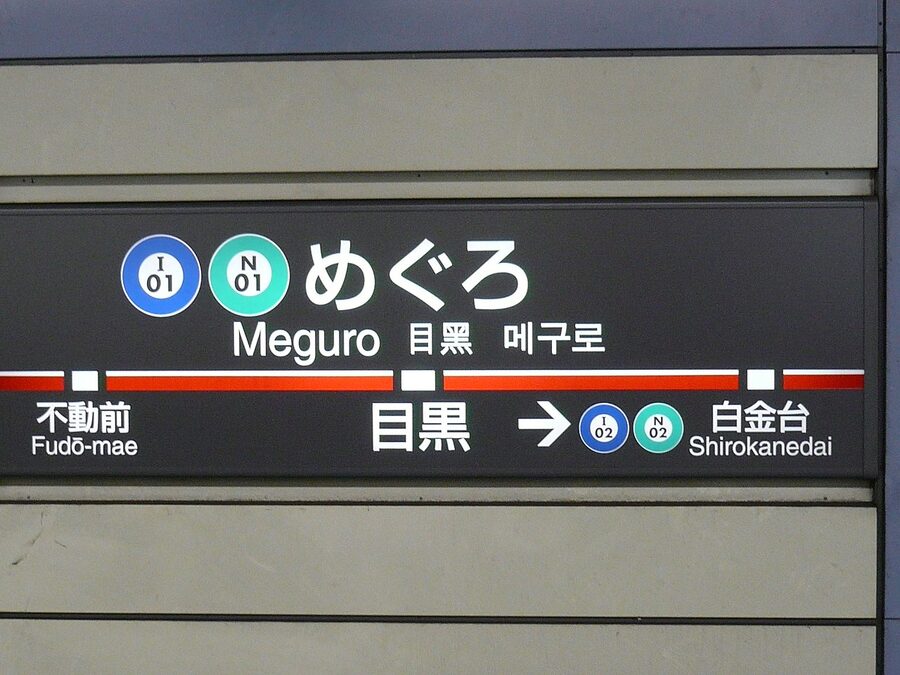 Tokyu Meguro Line at Meguro Station