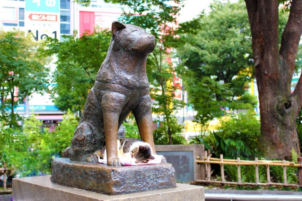 Hachiko The Loyal Dog Statue In Shibuya